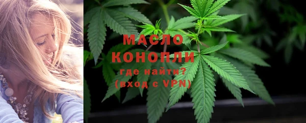 шишки Богородицк