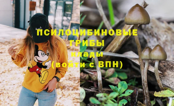 стафф Богданович