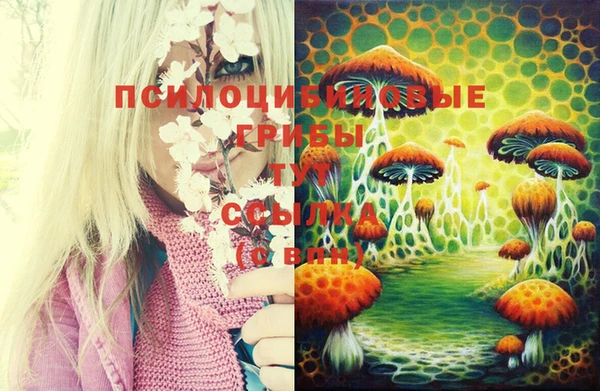 стафф Богданович
