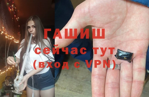 молекула духа Богородск