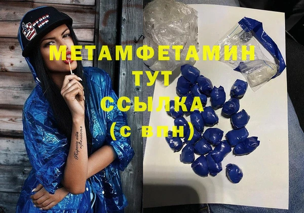 шишки Богородицк