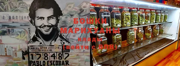 стафф Богданович