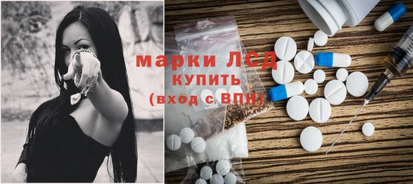 шишки Богородицк