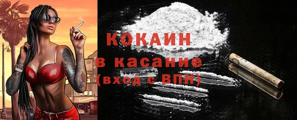 стафф Богданович