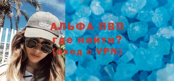 стафф Богданович