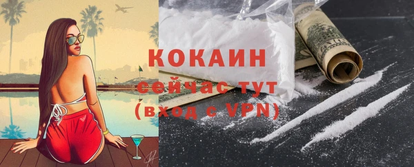 стафф Богданович