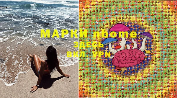 стафф Богданович