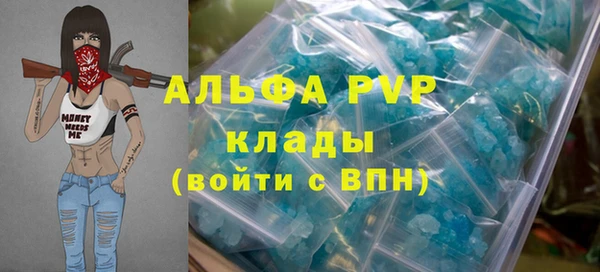 шишки Богородицк