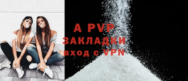 стафф Богданович