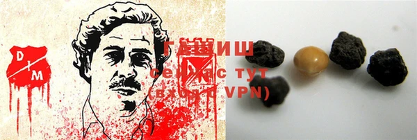 шишки Богородицк