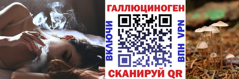 купить   Будённовск  Галлюциногенные грибы Psilocybe 